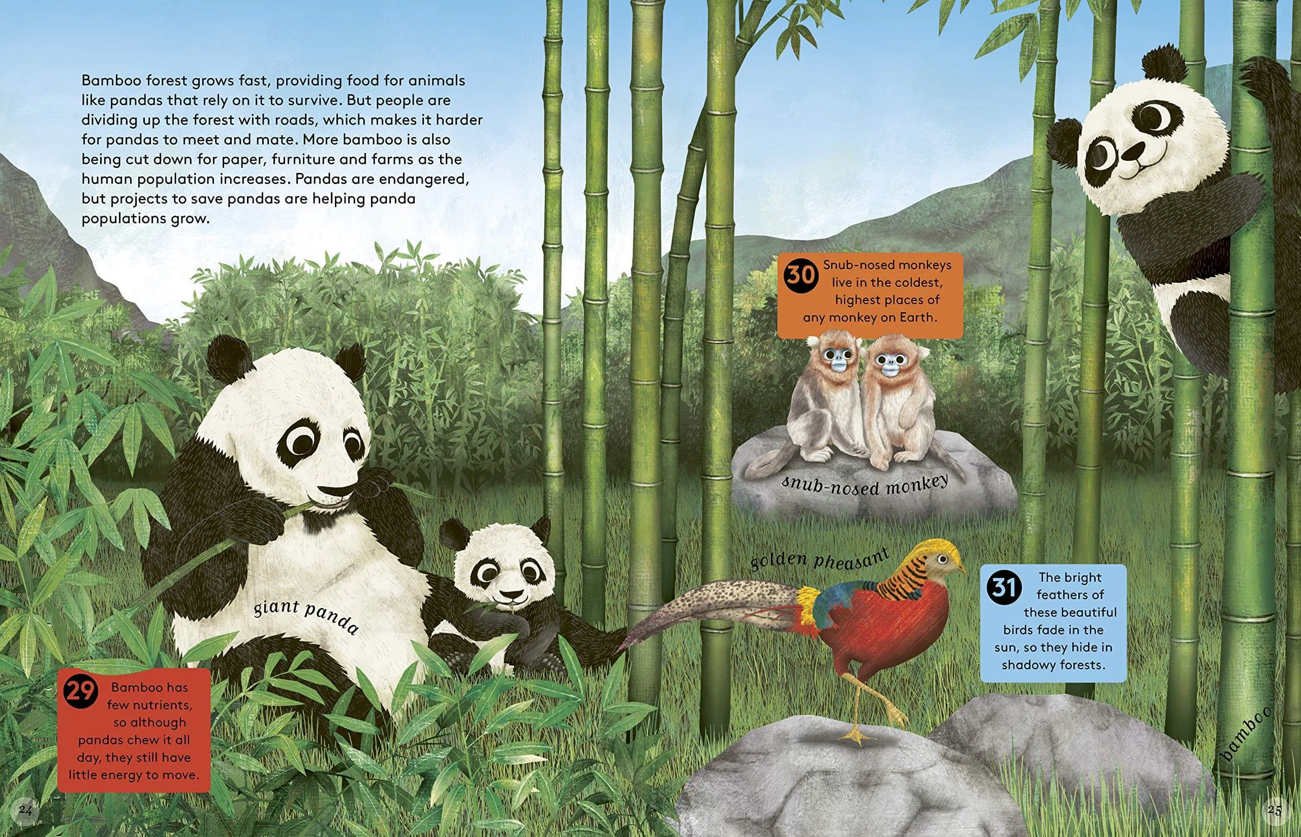 50 Reasons To Love Endangered Animals