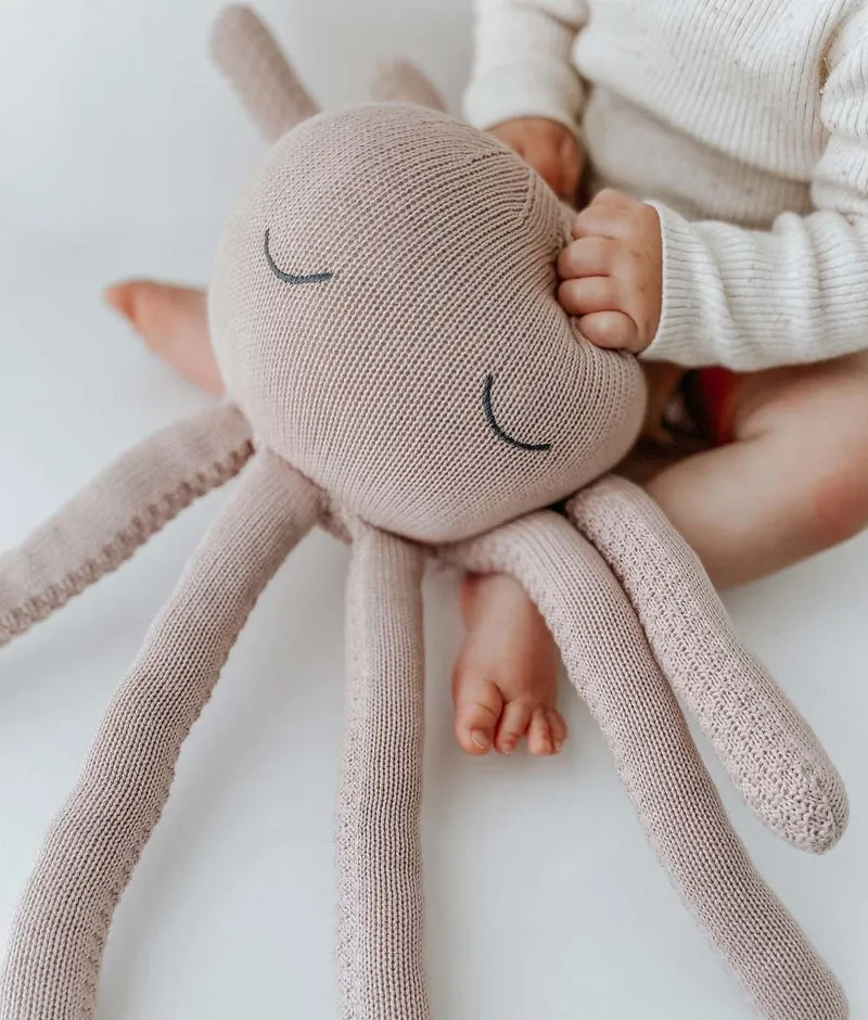 Bengali Teddy | Octopus