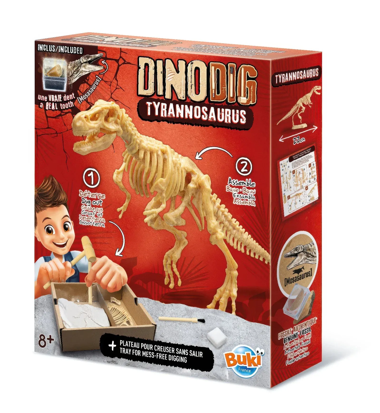 BUKI France Dino Dig T-Rex Skeleton Building Kit