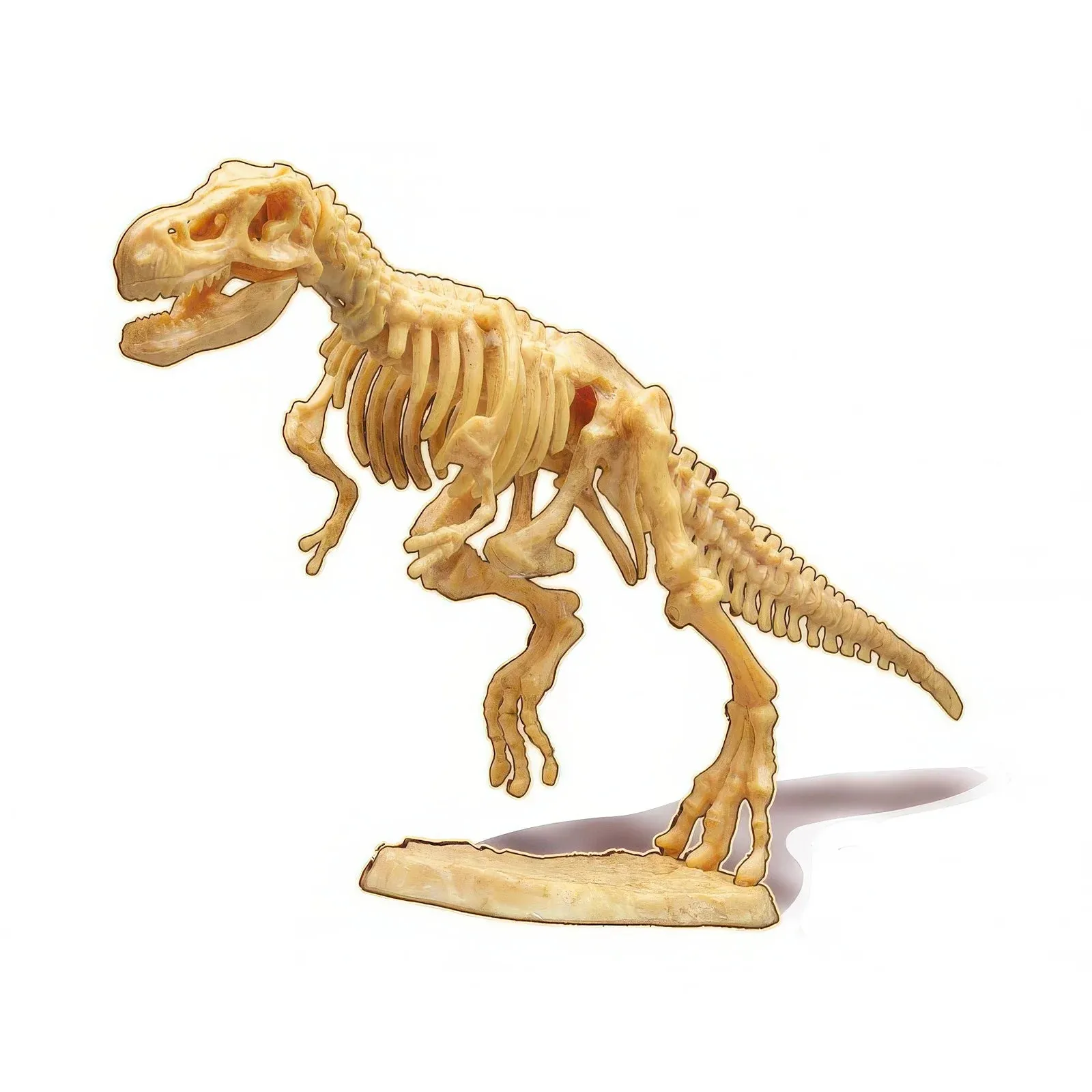 BUKI France Dino Dig T-Rex Skeleton Building Kit