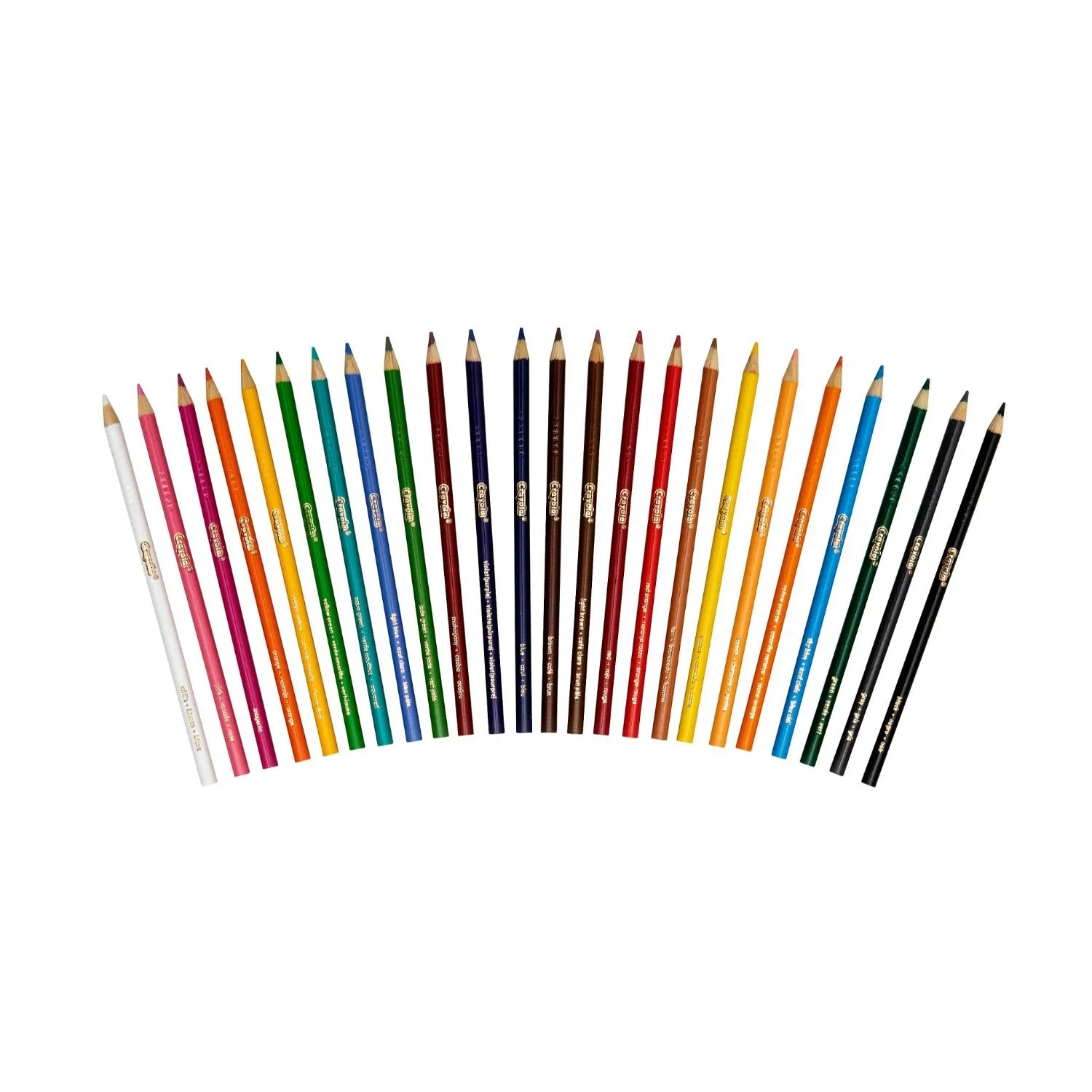Crayola Full Size Coloured Pencils 24 Pack
