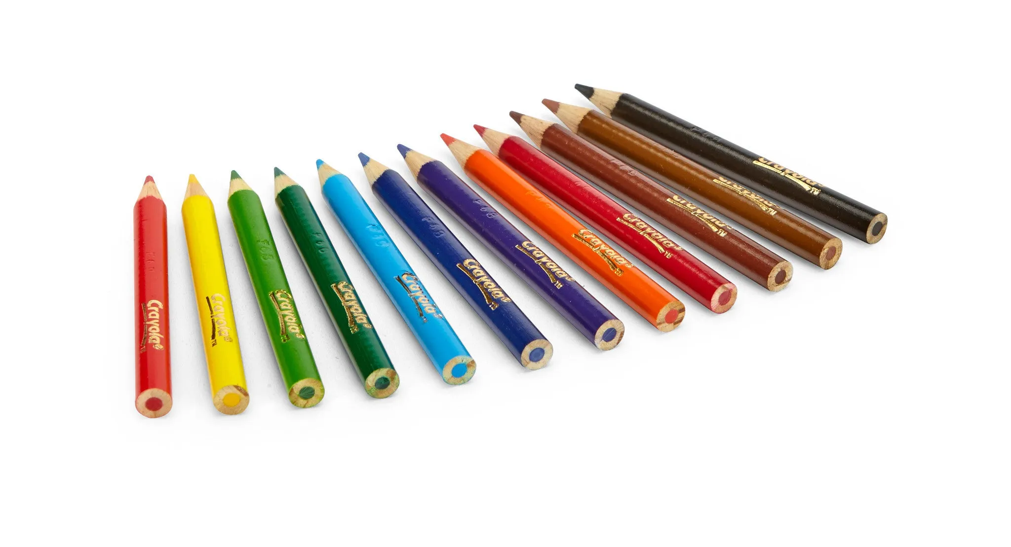 Crayola Half Size Coloured Pencils 12 Pack