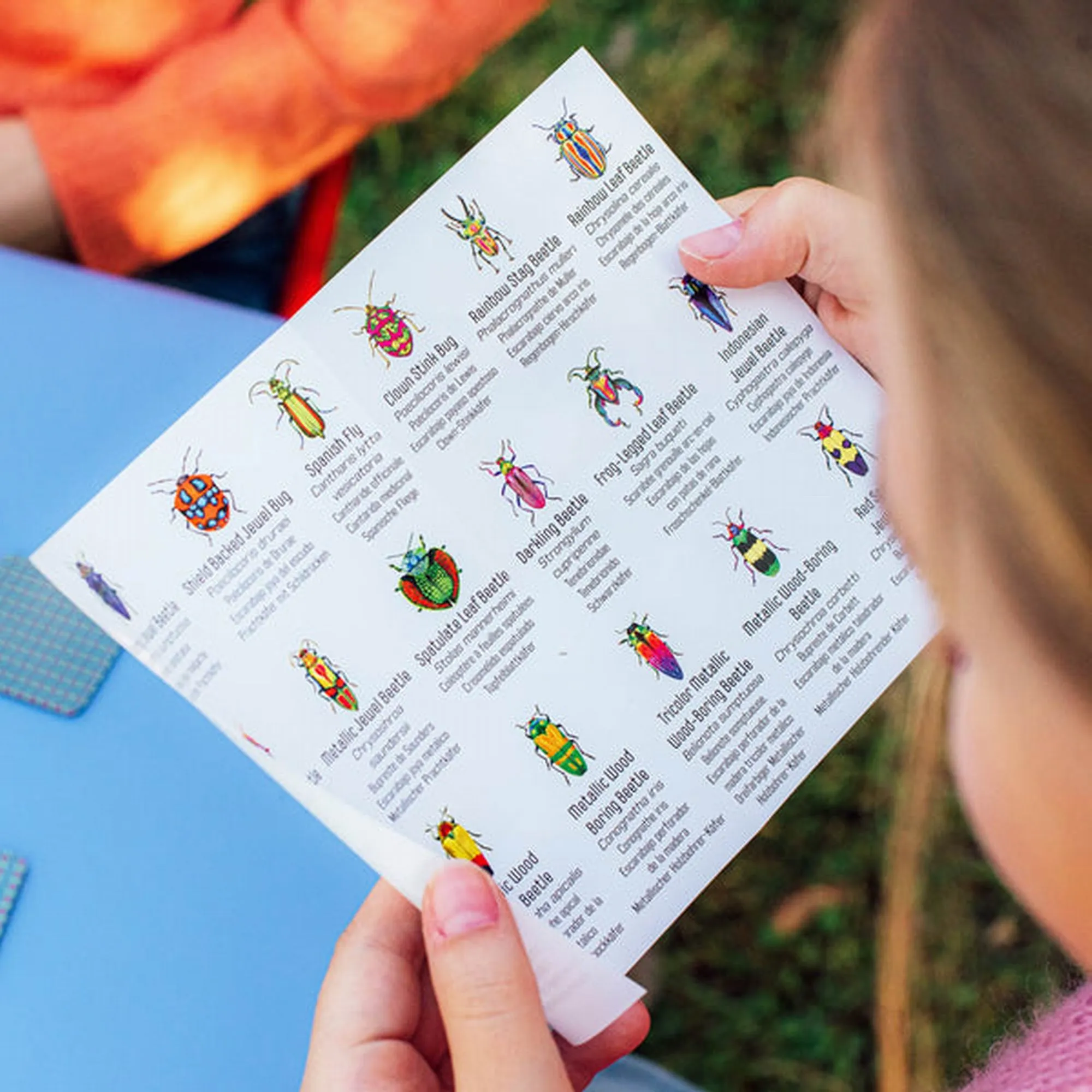eeBoo Beetles Little Matching Game