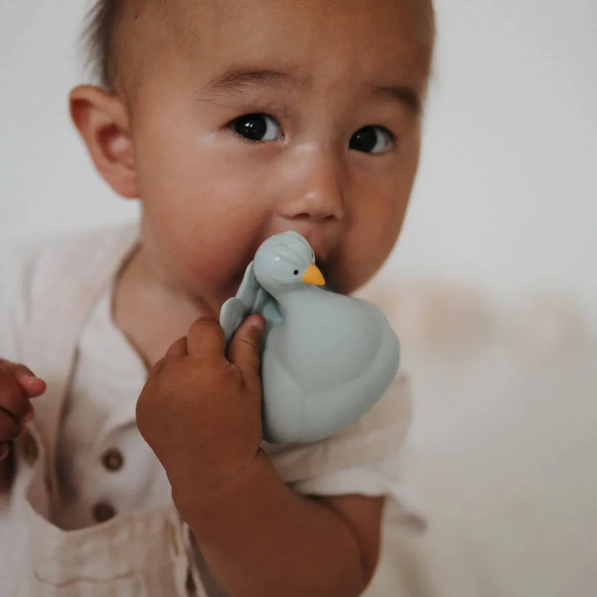 Natruba: Natural Rubber Bath Toy Peacock - Light Blue