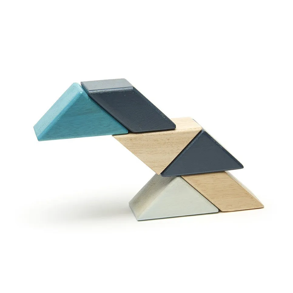 Tegu Blues Prism Pocket Pouch