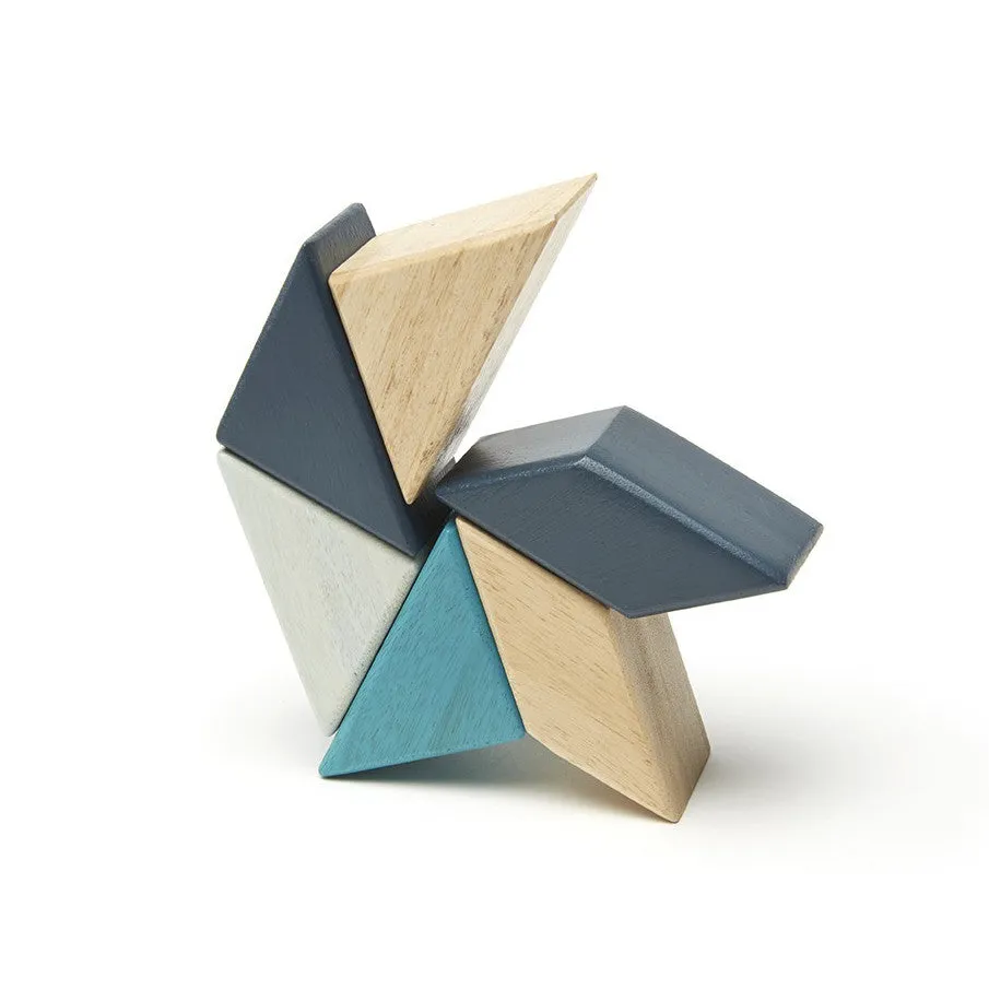 Tegu Blues Prism Pocket Pouch