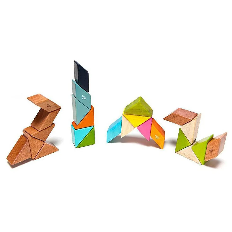 Tegu Tints Prism Pocket Pouch