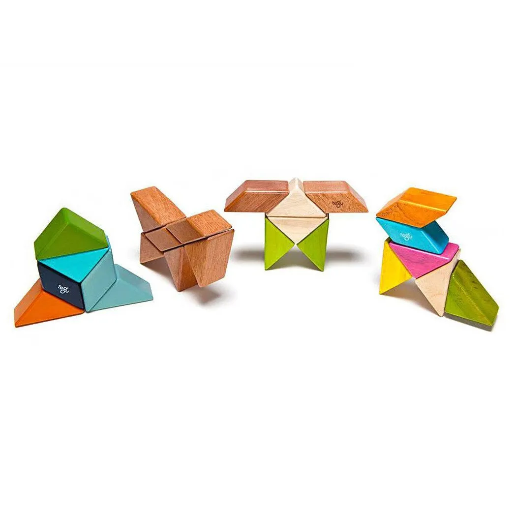 Tegu Tints Prism Pocket Pouch