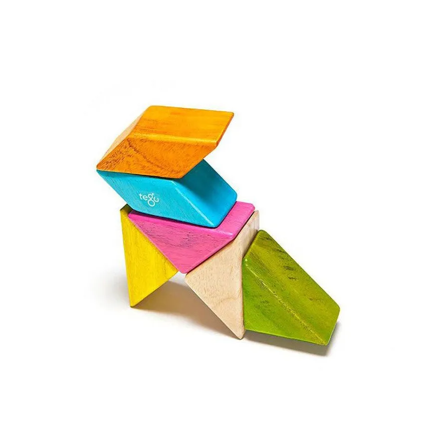 Tegu Tints Prism Pocket Pouch